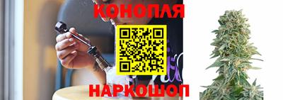 Альфа ПВП Нальчик