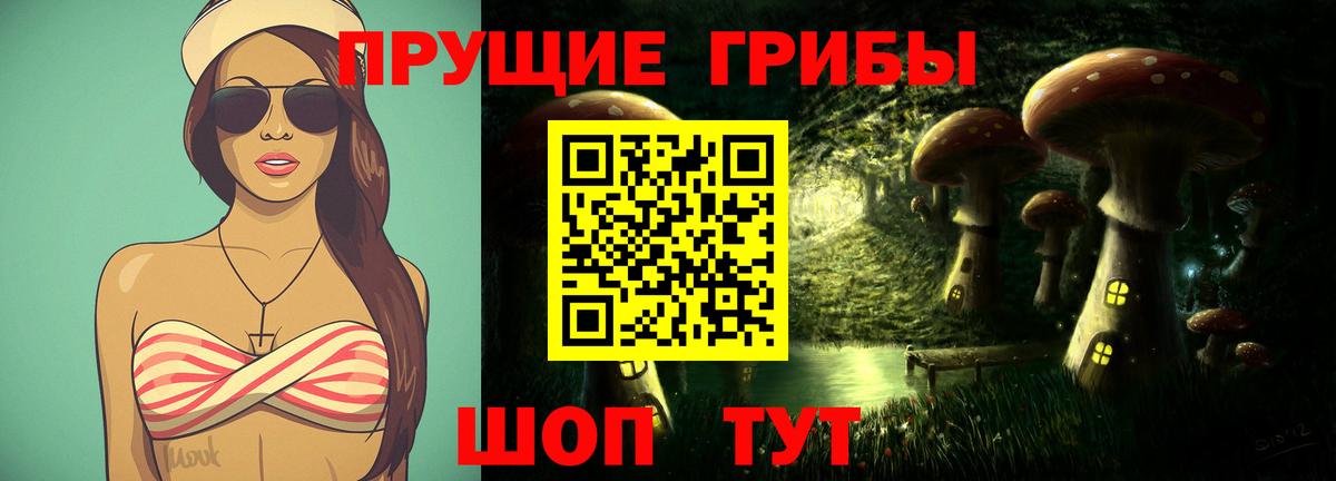 Ногинск  даркнет сайт  Вход с VPN  Псилоцибиновые грибы Psilocybine cubensis 